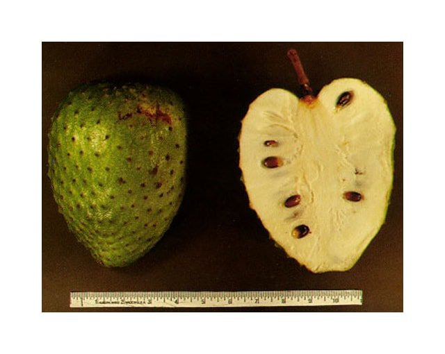 Soursop