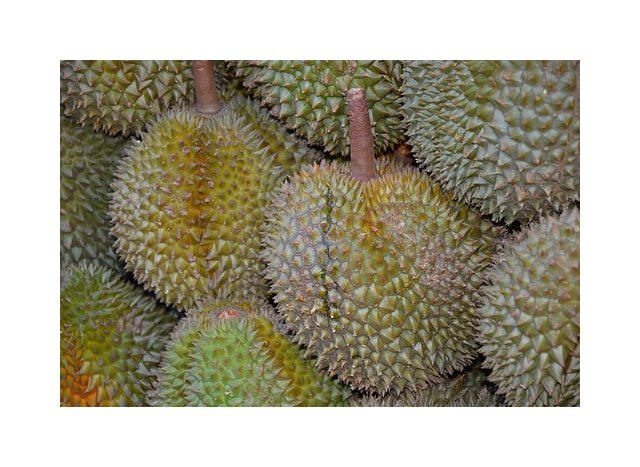 Durian