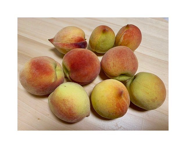 Freestone Peach