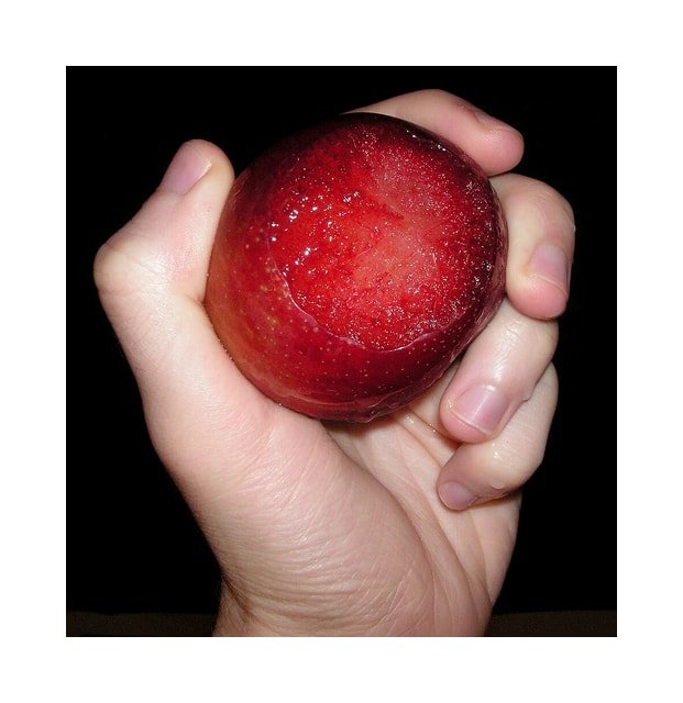 Dapple Pluot