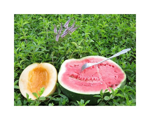 Tiger Melon