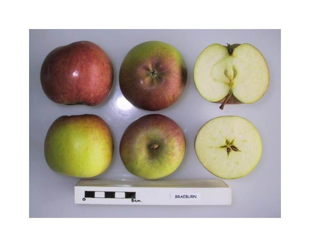 Braeburn Apple